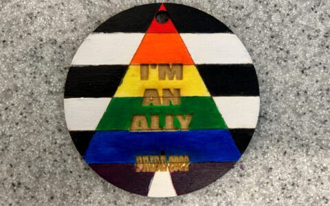 Celebrating 12 days of allyship
