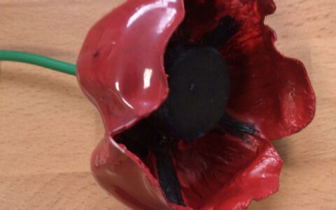 Congratulations to Remembrance Day competition winners