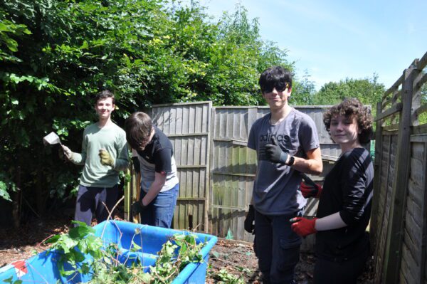 Garden clear up