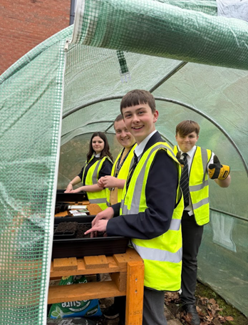Bench and polytunnel