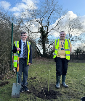 Tree planting