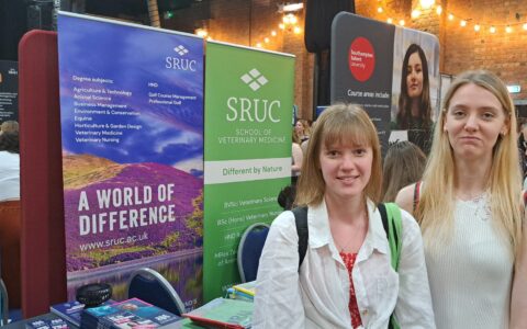 Post 16 students at UCAS exhibition