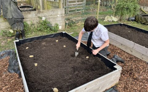 Eco Club update